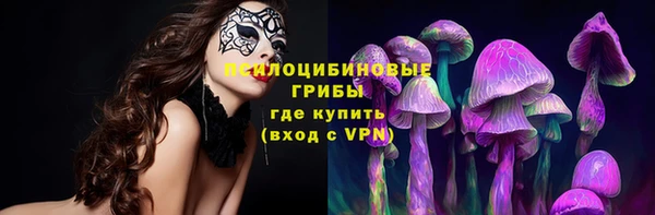 MESCALINE Лабытнанги