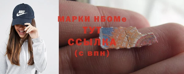 ГАЛЛЮЦИНОГЕННЫЕ ГРИБЫ Лагань