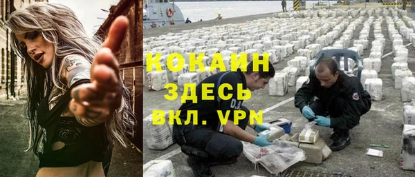 ГАЛЛЮЦИНОГЕННЫЕ ГРИБЫ Лагань