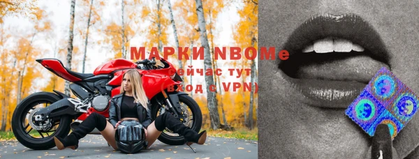 ГАЛЛЮЦИНОГЕННЫЕ ГРИБЫ Лагань