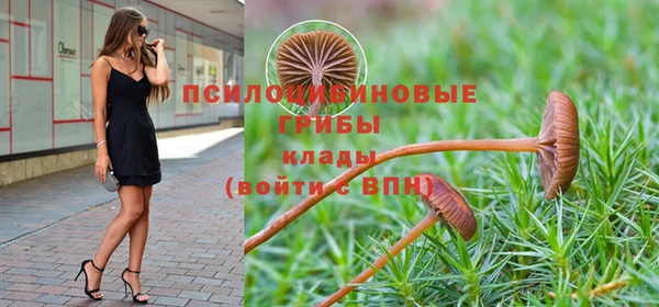 MESCALINE Лабытнанги