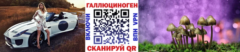 как найти   Монино  Псилоцибиновые грибы Psilocybe 