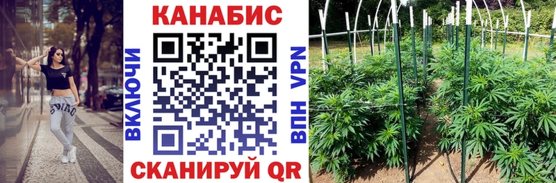 Каннабис конопля  гидра ссылки  Монино 